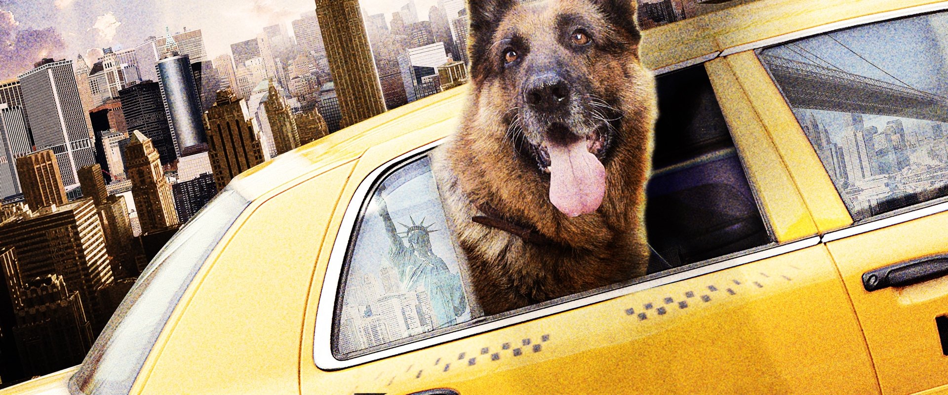 Cool Dog backdrop