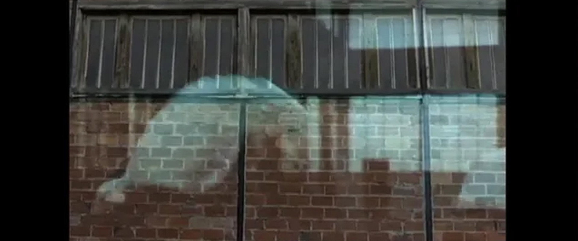 L'Homme qui danse backdrop