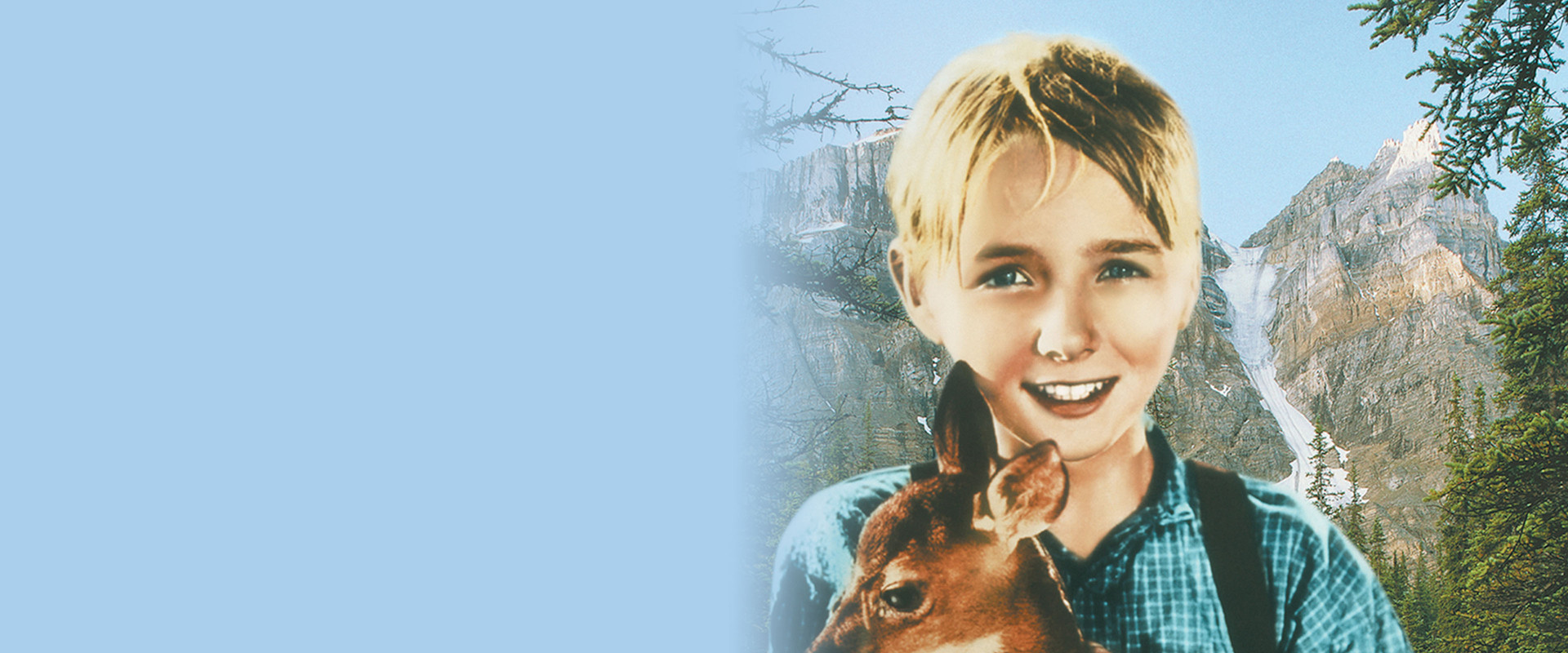 The Yearling backdrop