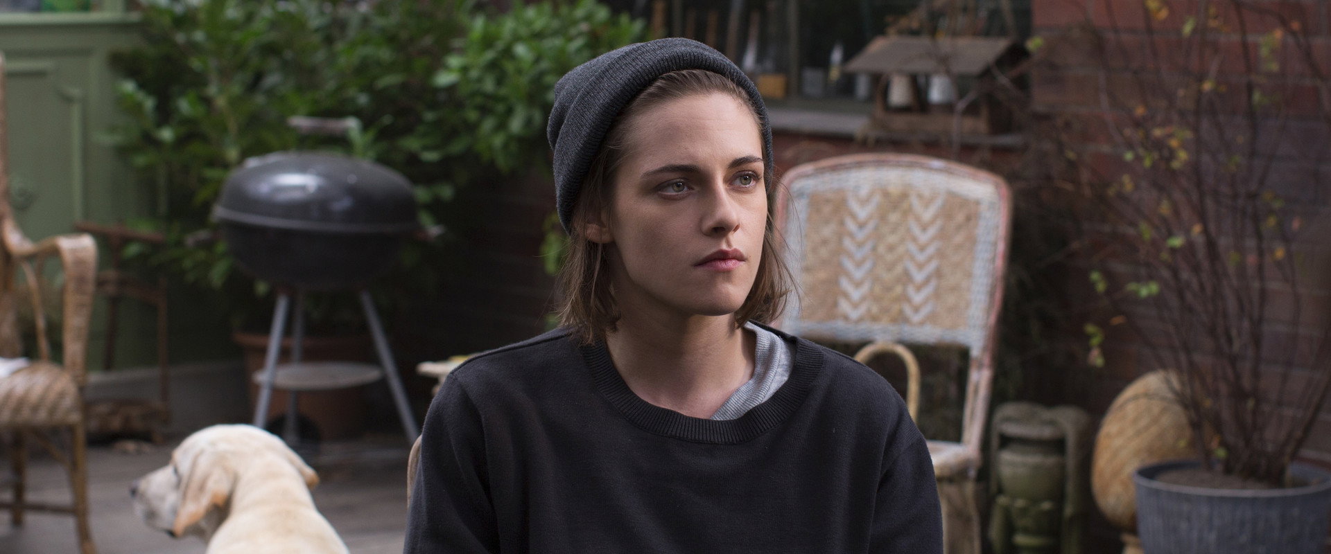 Personal Shopper backdrop