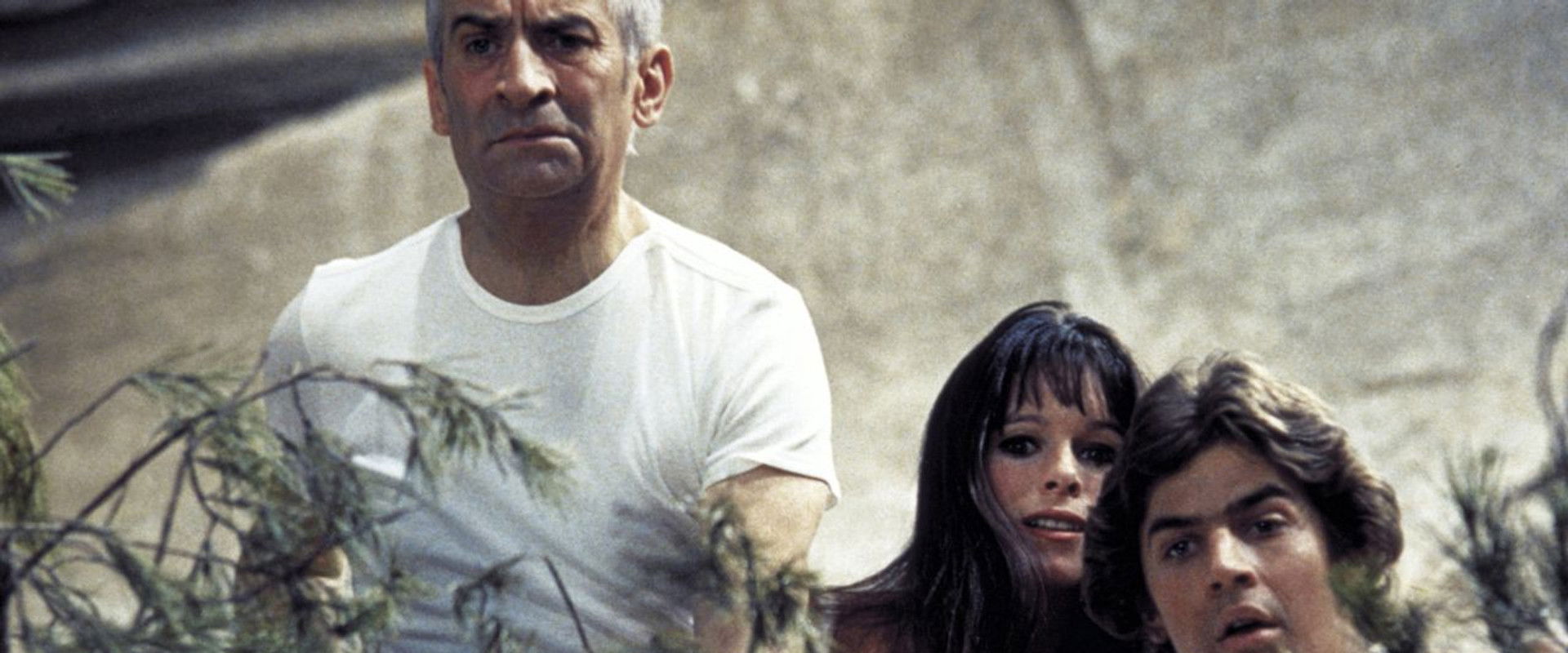 Perched on a Tree backdrop