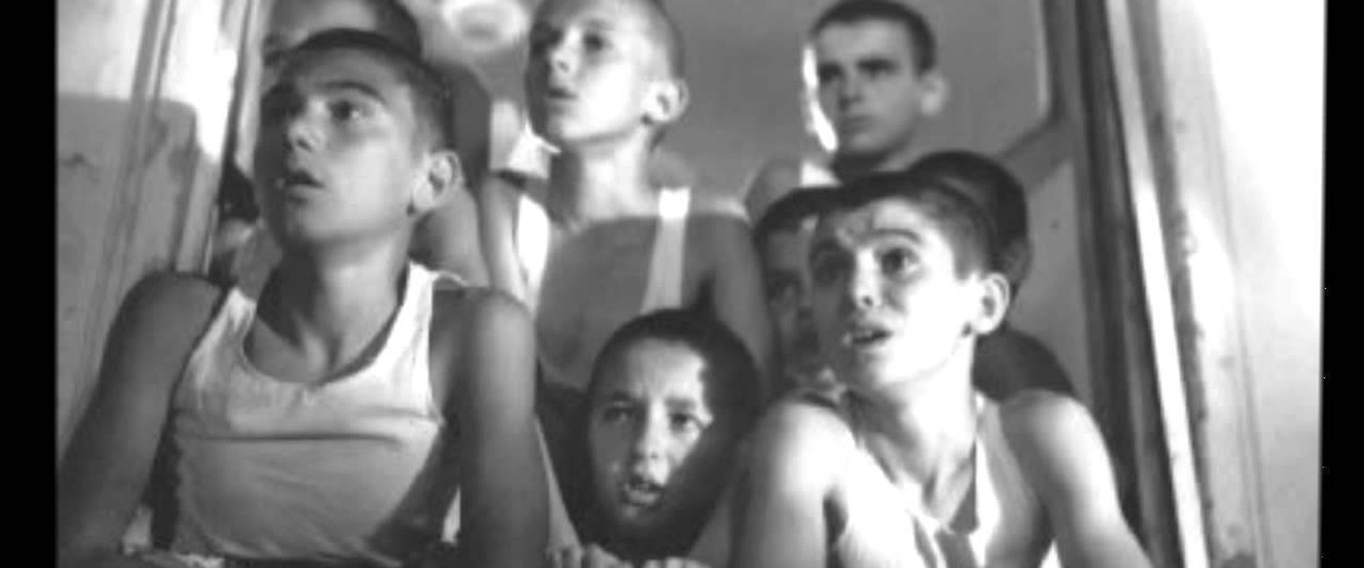 Red Poppies on the Wall backdrop