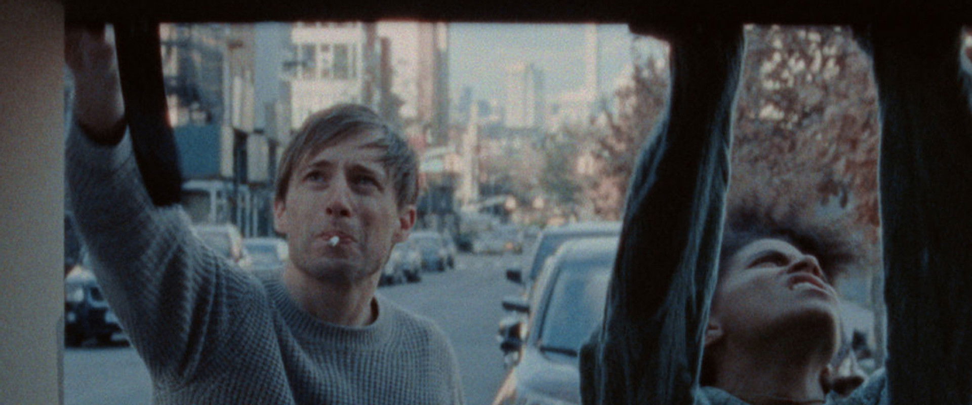 Houseplants backdrop