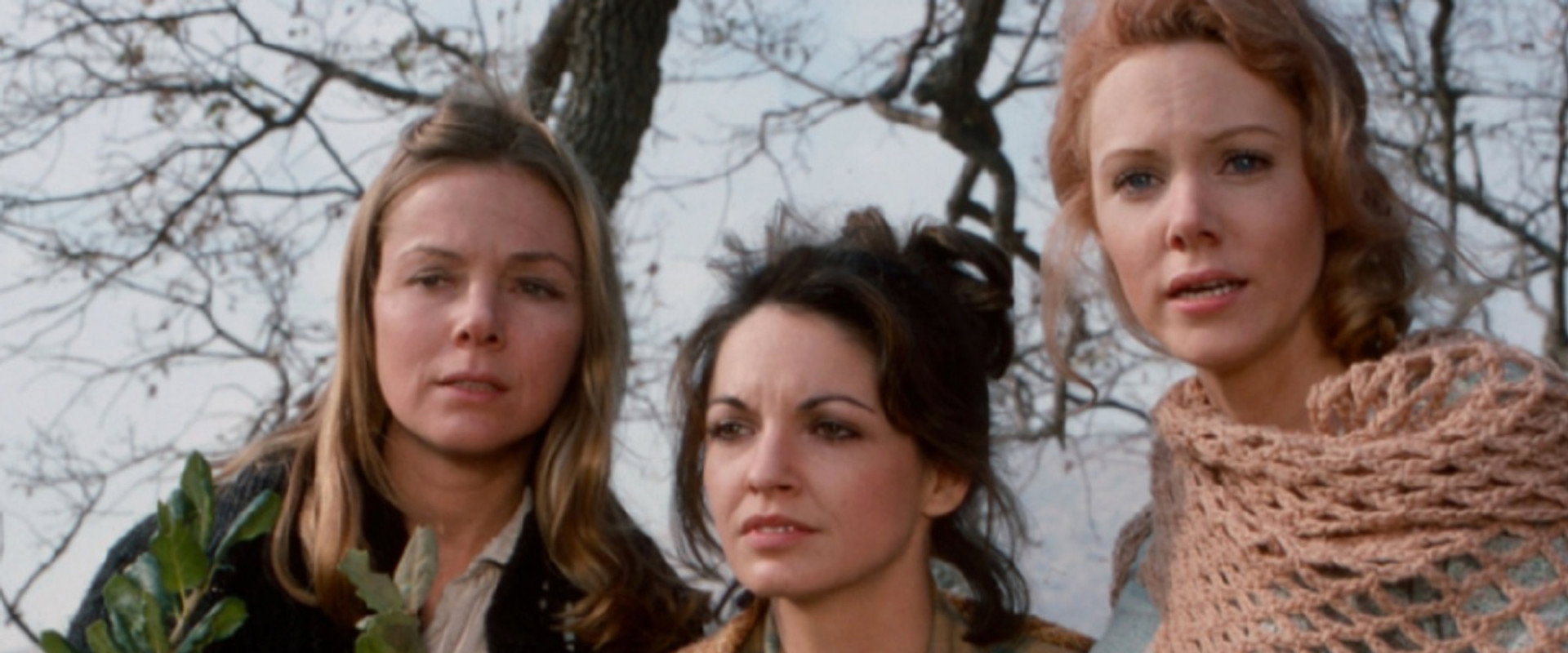 The New Daughters of Joshua Cabe backdrop