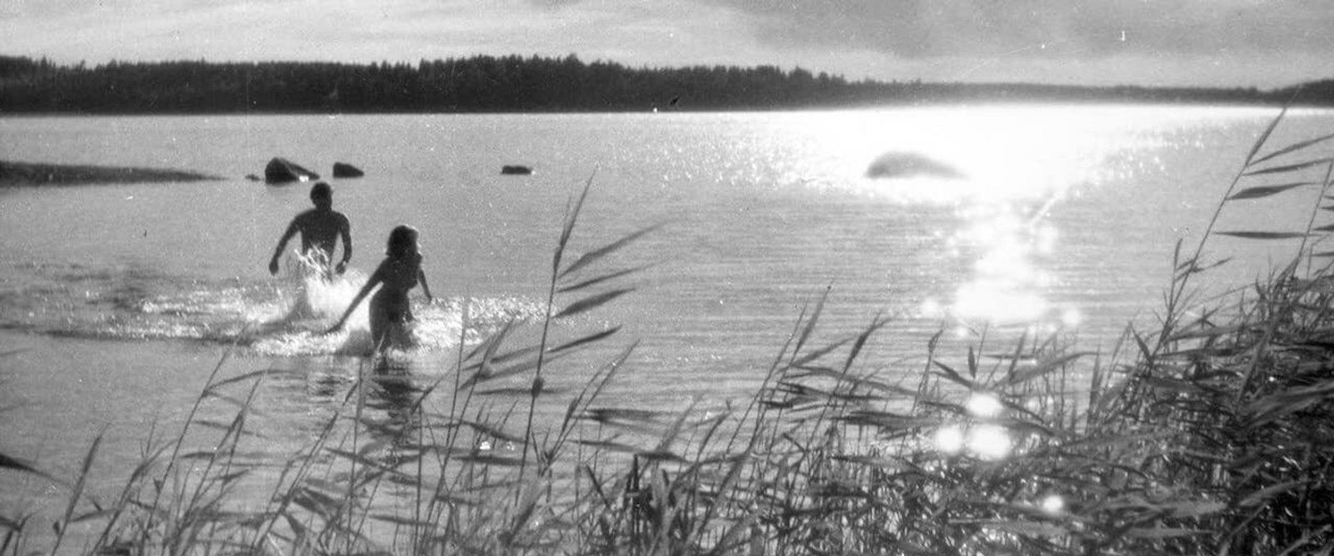 One Summer of Happiness backdrop