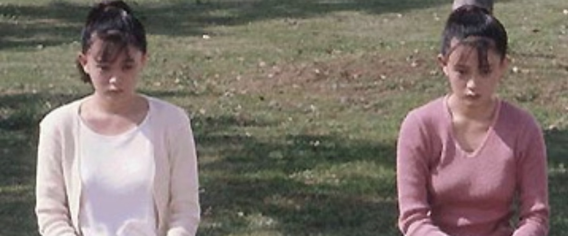 Alice Sanctuary backdrop