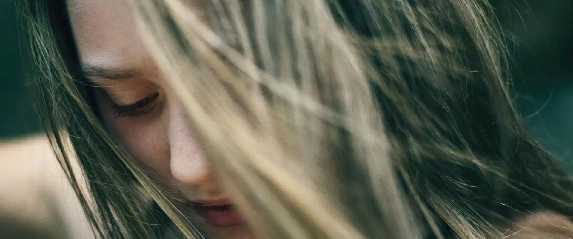 Little Harbour backdrop