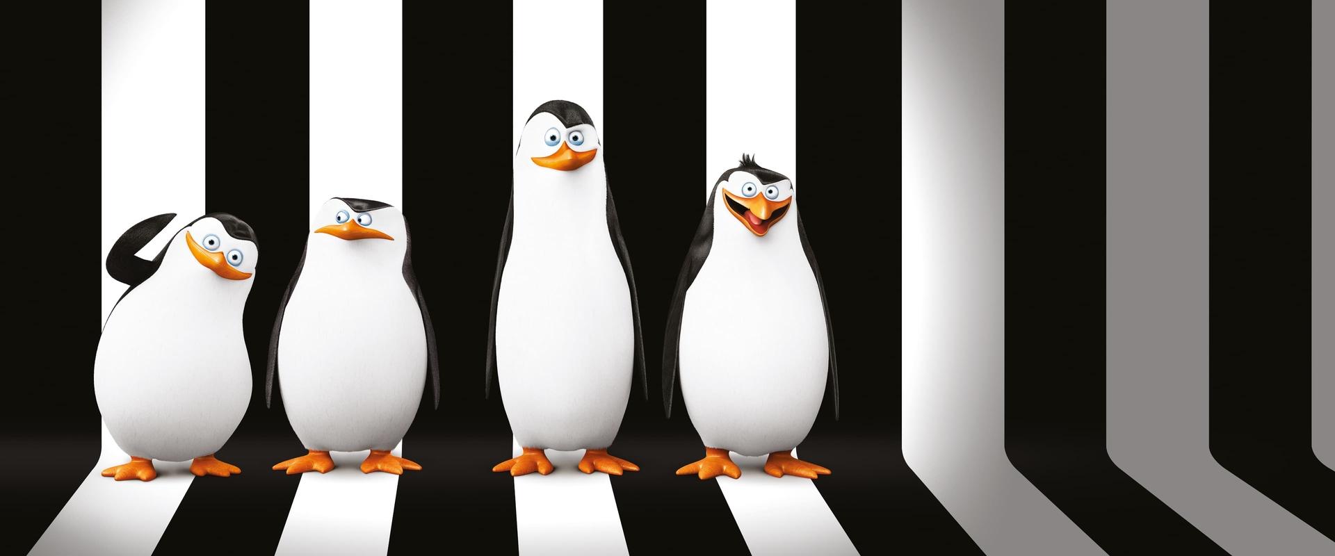Penguins of Madagascar backdrop