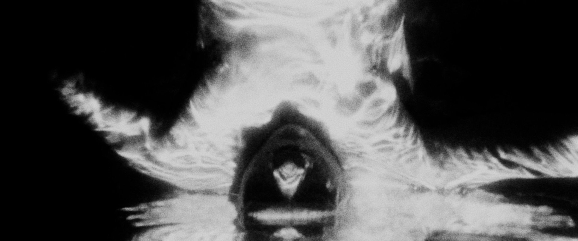Psychotronic Attacks backdrop