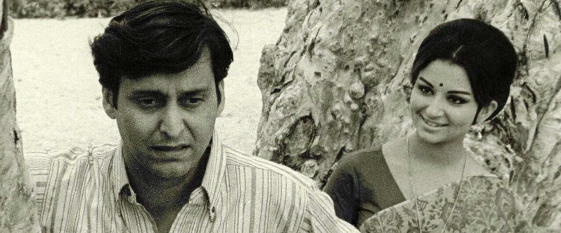 Days and Nights in the Forest backdrop