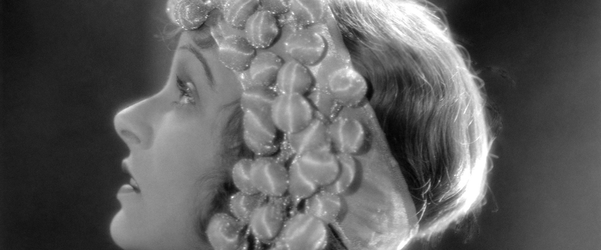 The Lady in Ermine backdrop