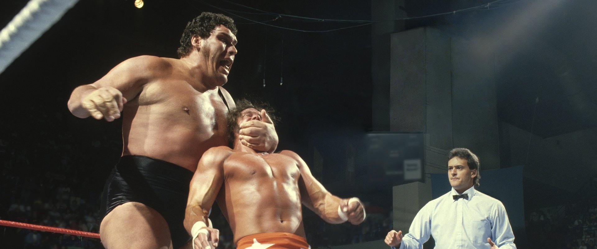Andre the Giant backdrop