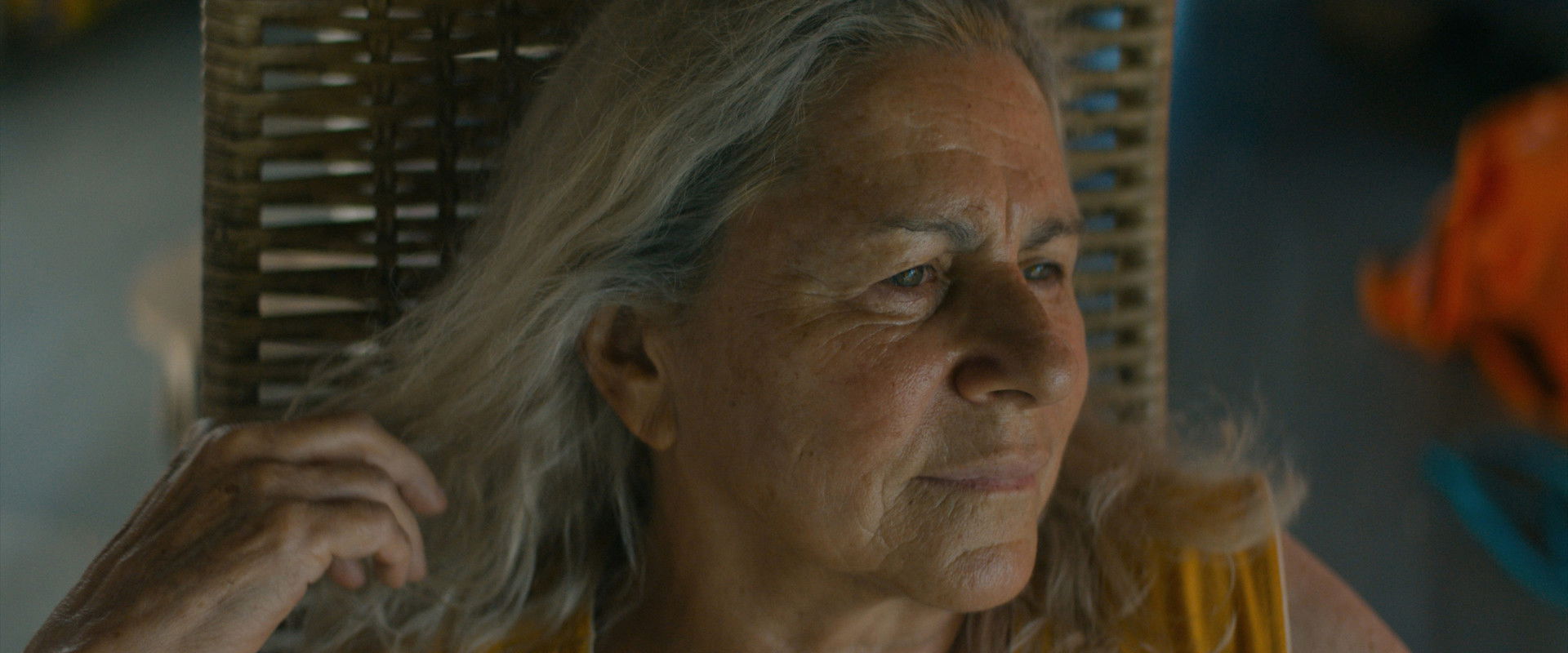 The Blue Trail backdrop