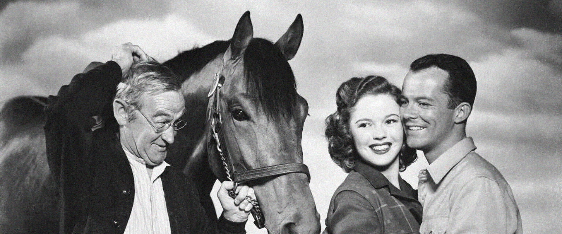 The Story of Seabiscuit backdrop