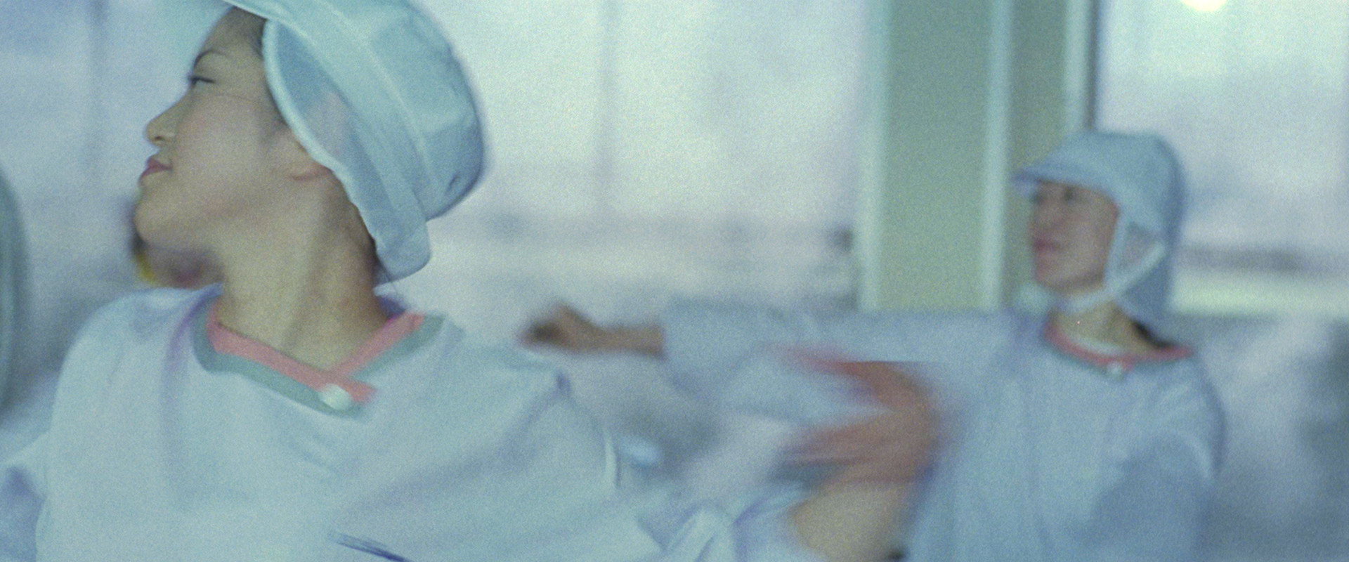 Underwater Love backdrop