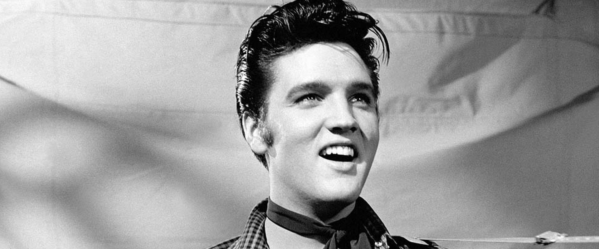 Elvis '56 backdrop