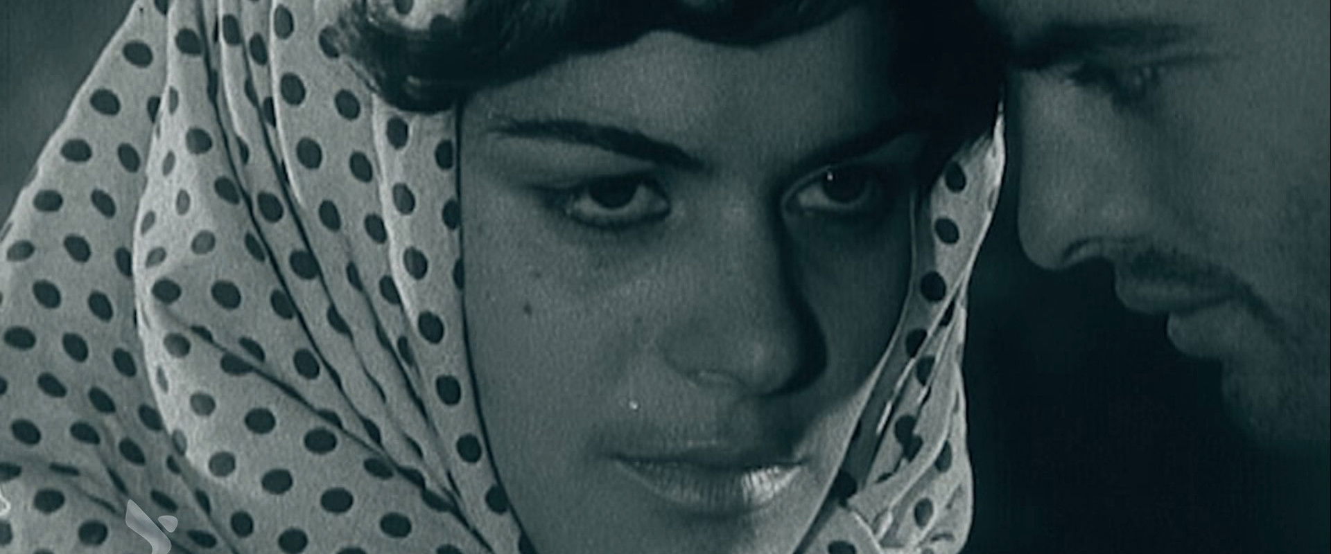 The Postponed Wedding backdrop