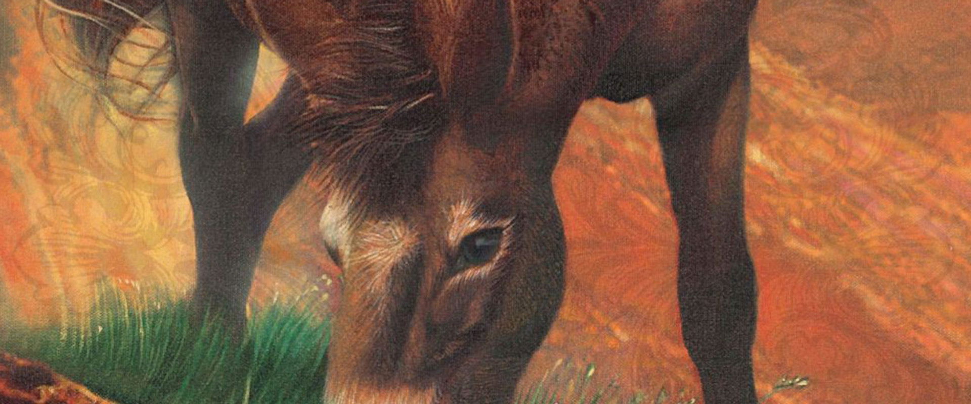 Brighty of the Grand Canyon backdrop