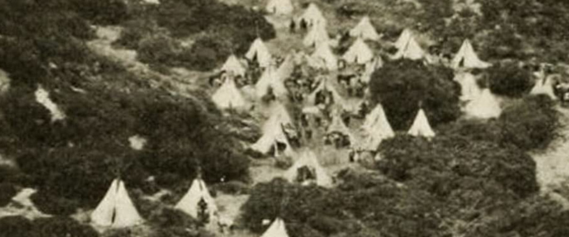 In the Days of the Thundering Herd backdrop