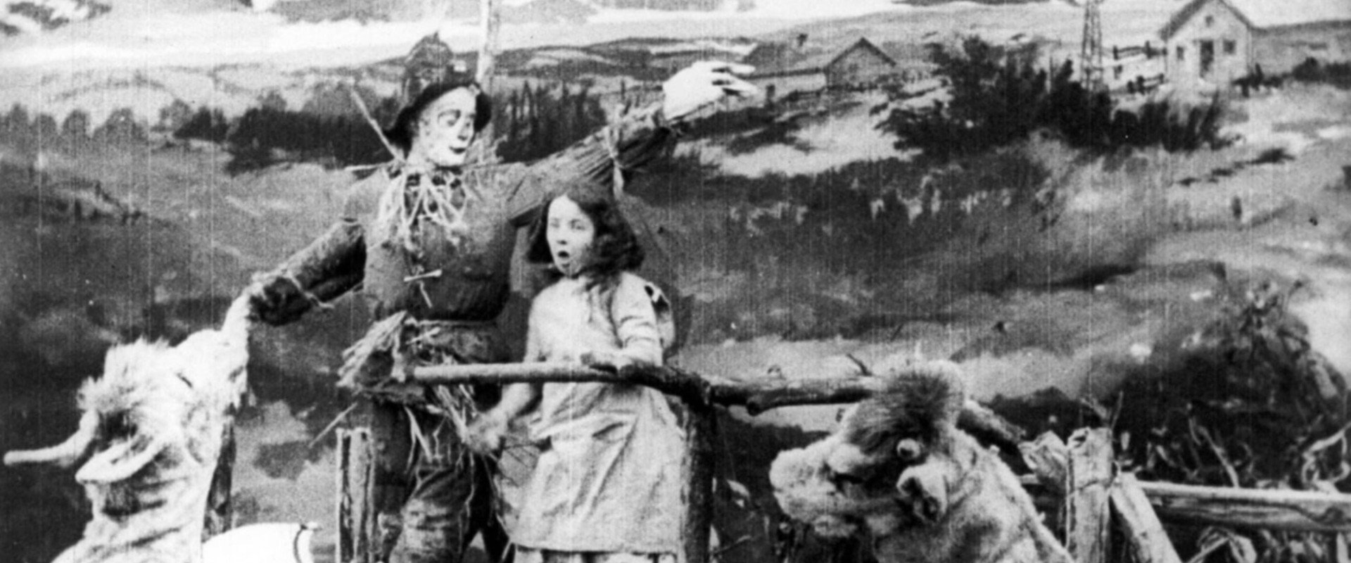 The Wonderful Wizard of Oz backdrop