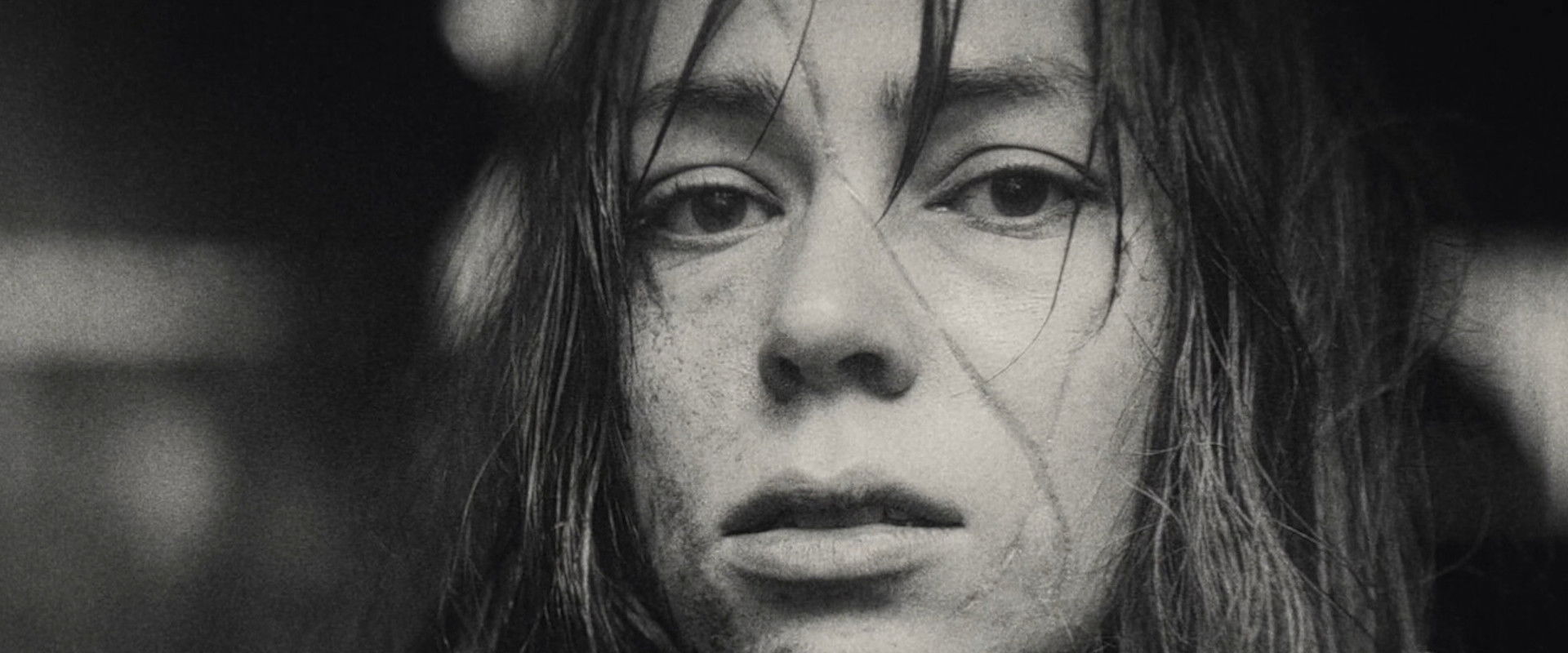 A Song For William Bird backdrop