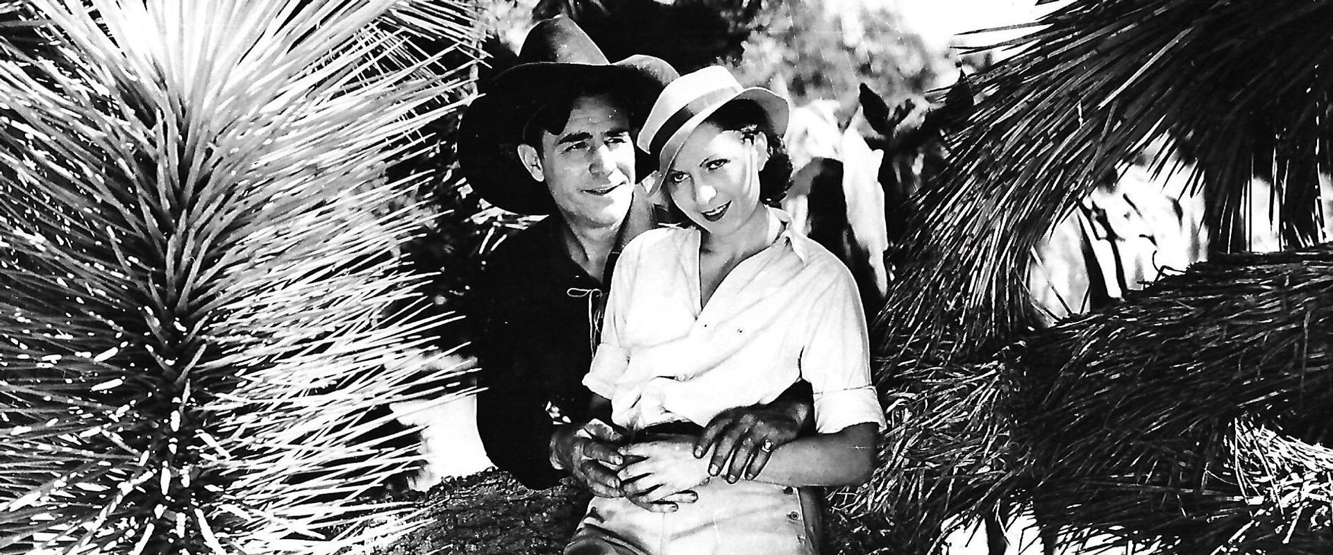 Circle Canyon backdrop