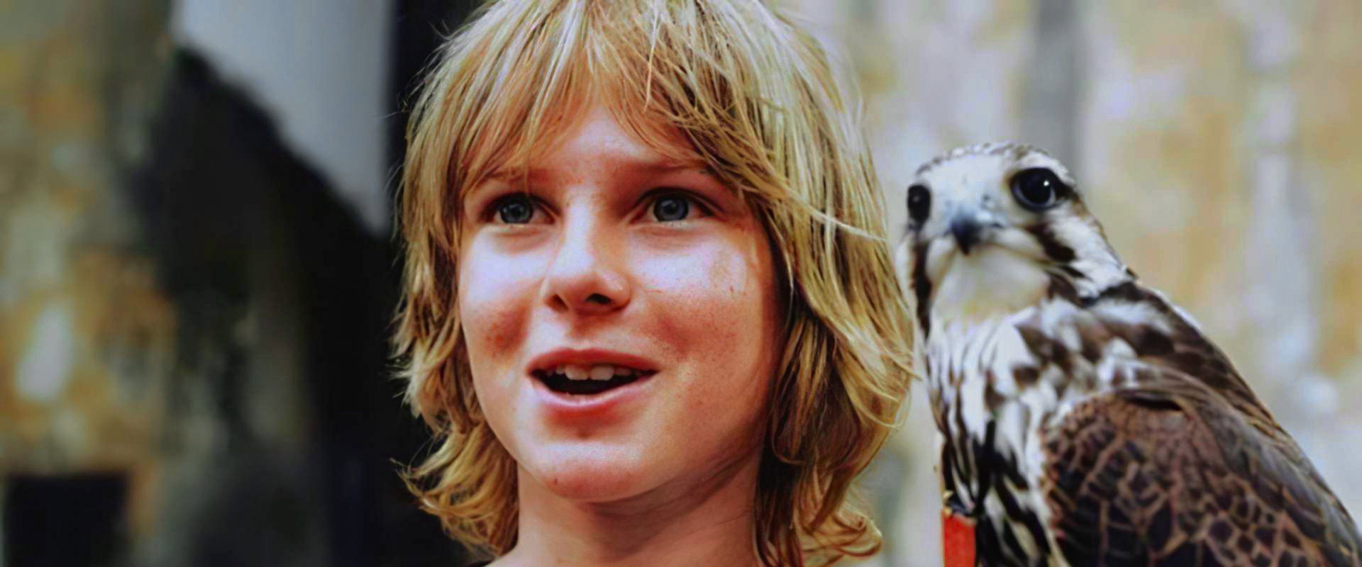Tomáš and the Falcon King backdrop