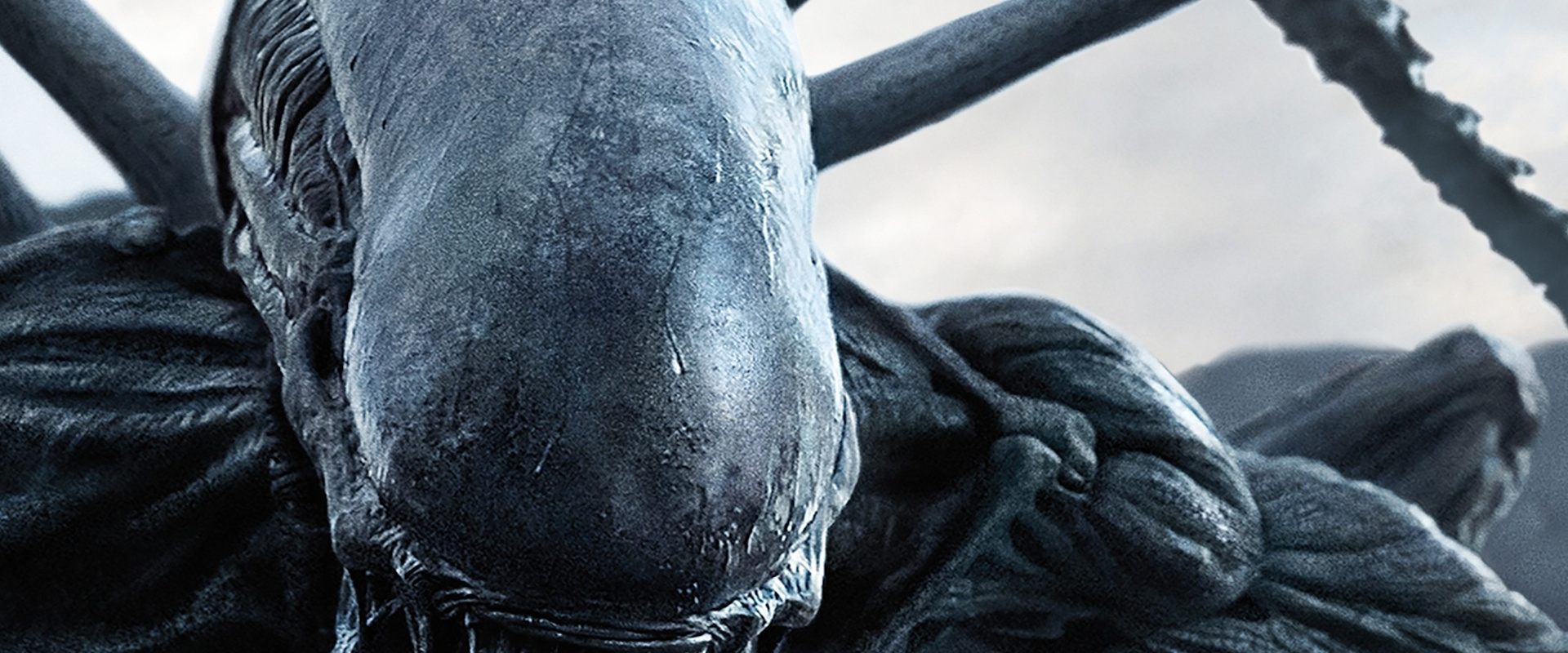 Alien: Covenant backdrop