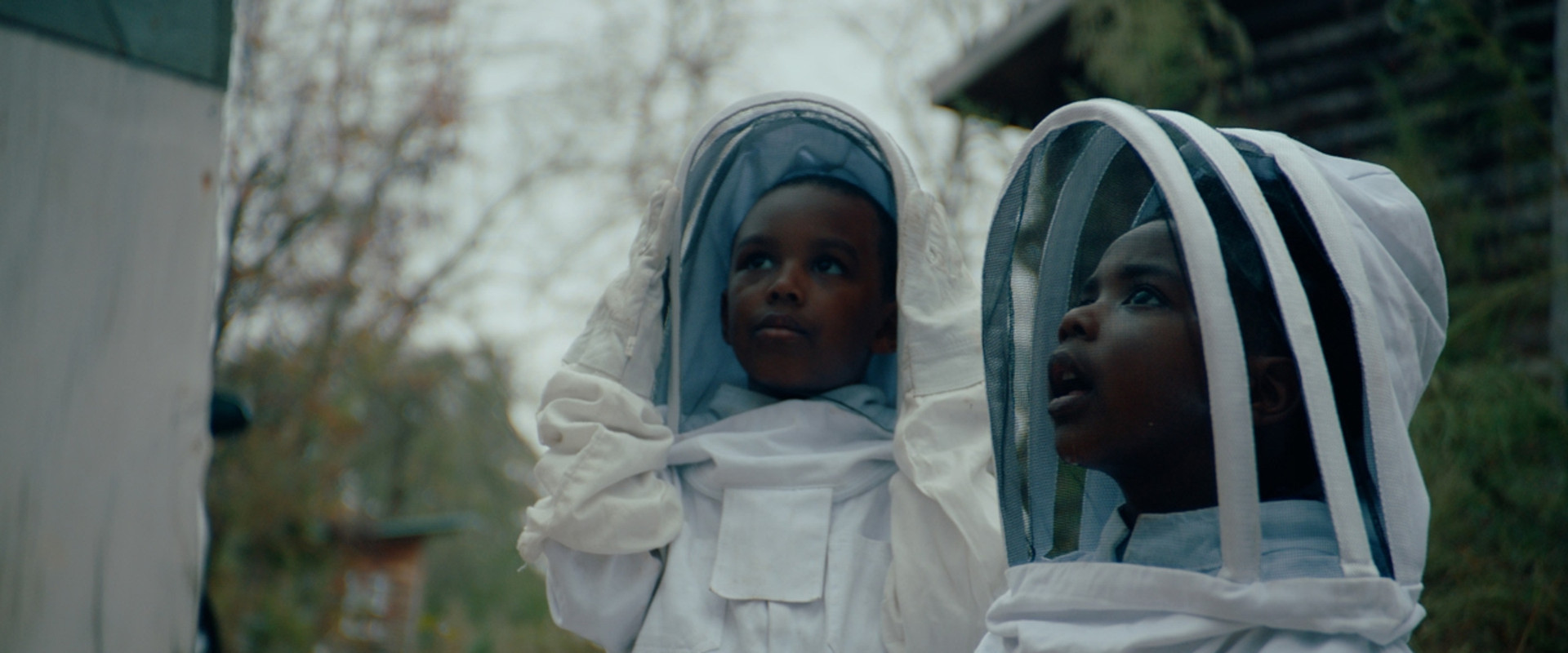 The Boys and the Bees backdrop