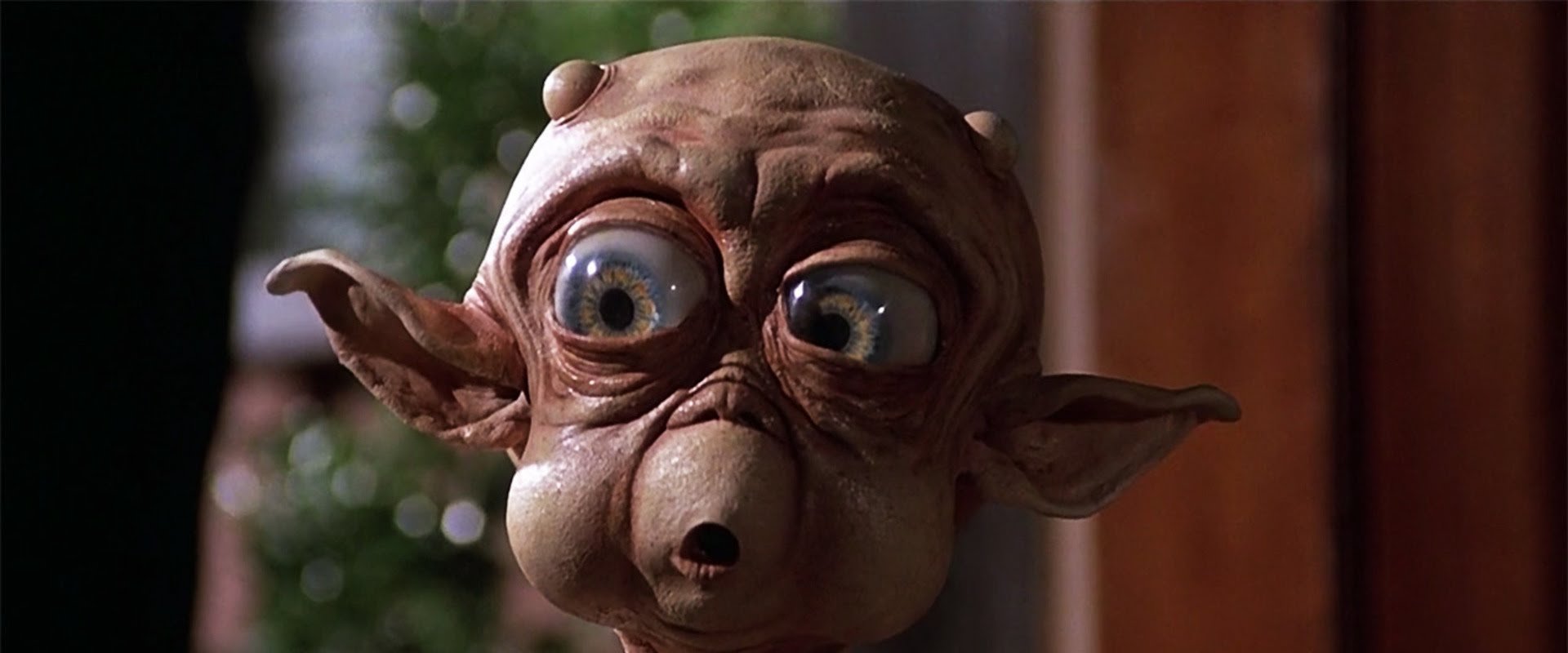 Mac and Me backdrop