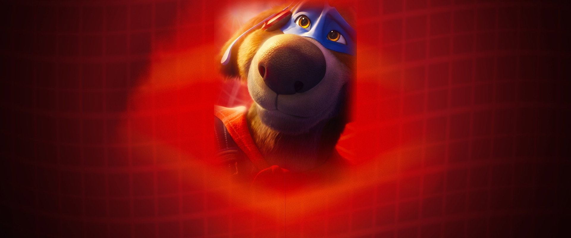 Charlie the Wonderdog backdrop