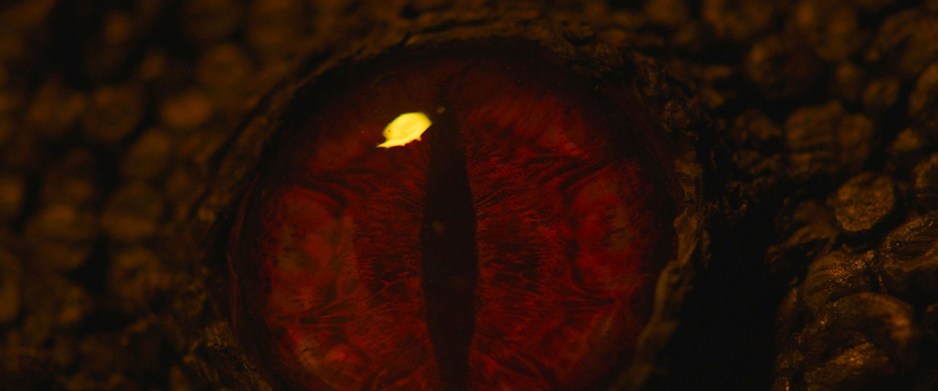 Ojos de Lagarto backdrop