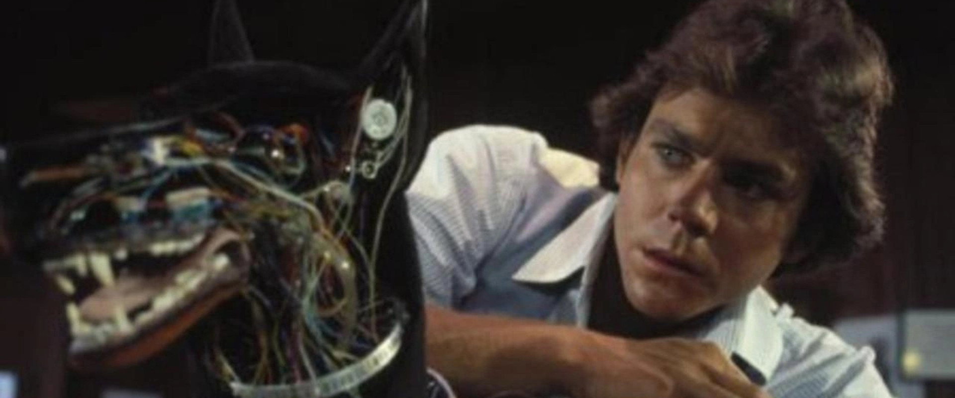 C.H.O.M.P.S. backdrop