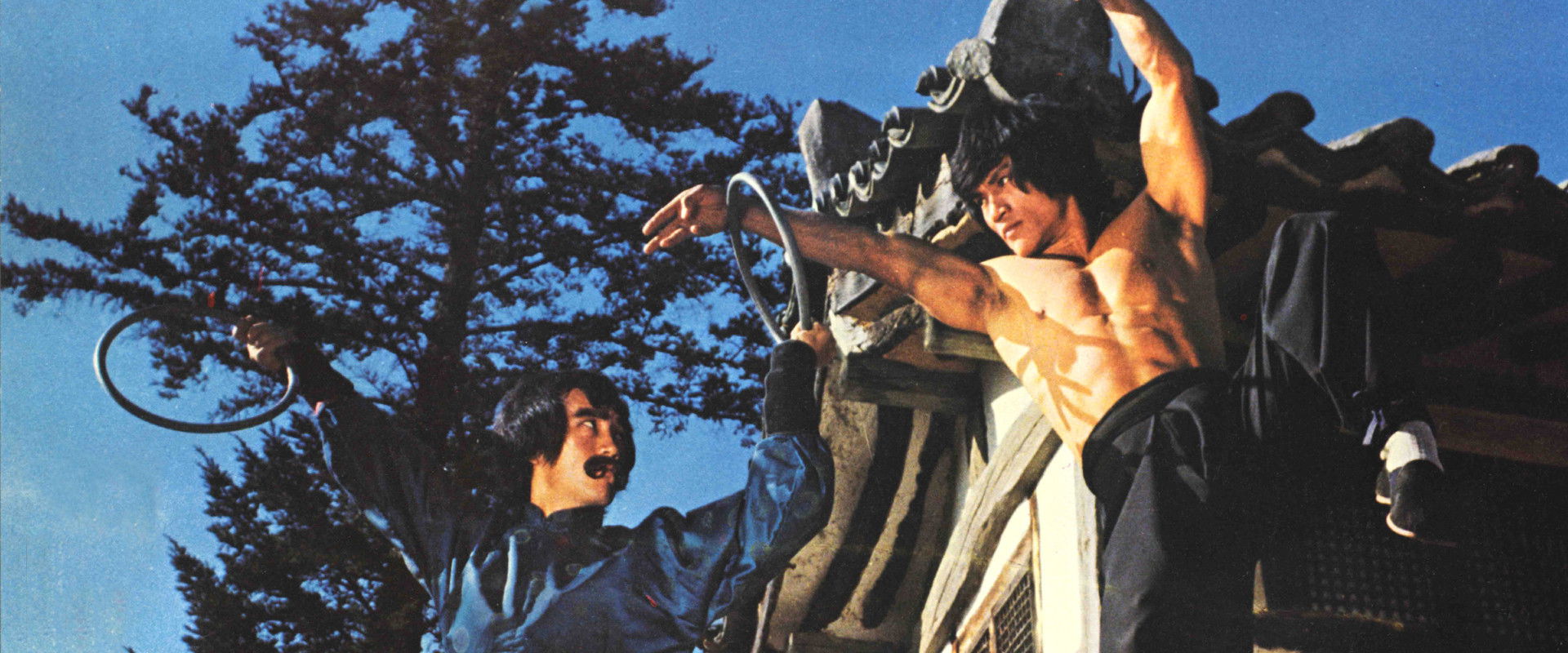 The Dragon's Snake Fist backdrop