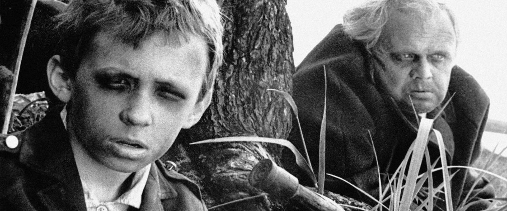 Daddy, Father Frost Is Dead backdrop