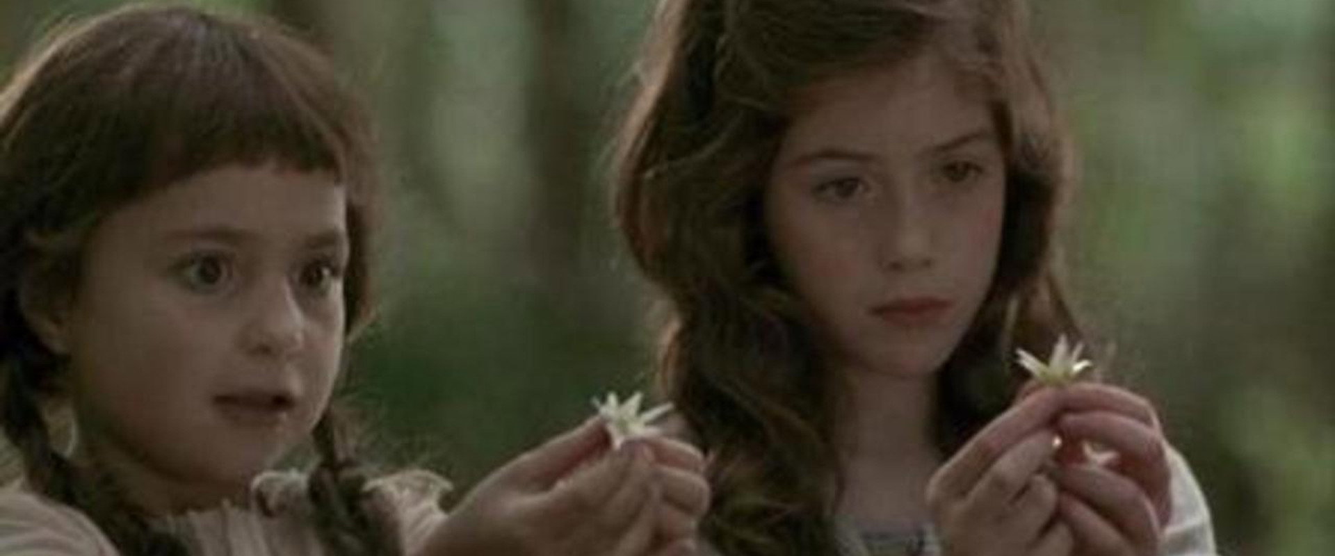 Photographing Fairies backdrop