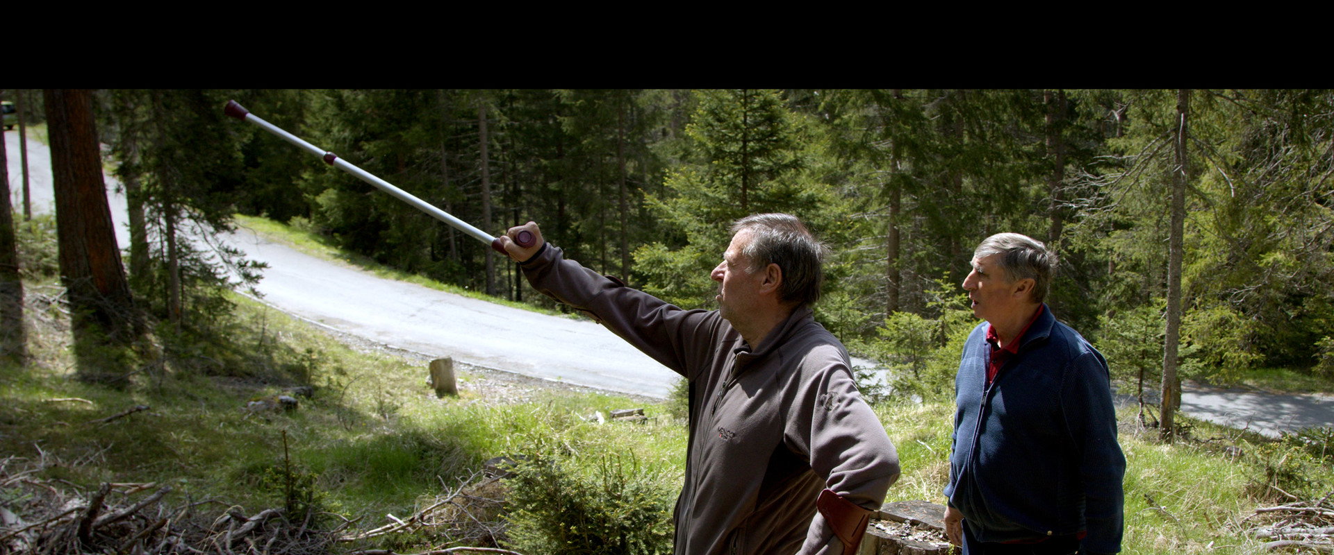 Herbstfeuer backdrop