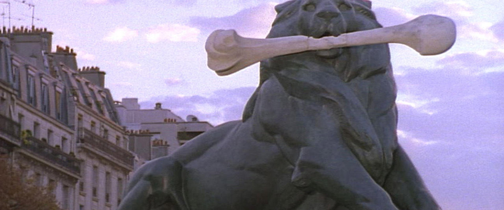 The Vanishing Lion backdrop