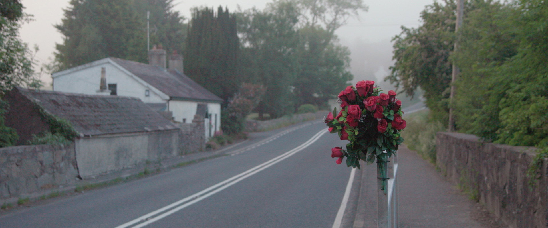 No Stone Unturned backdrop