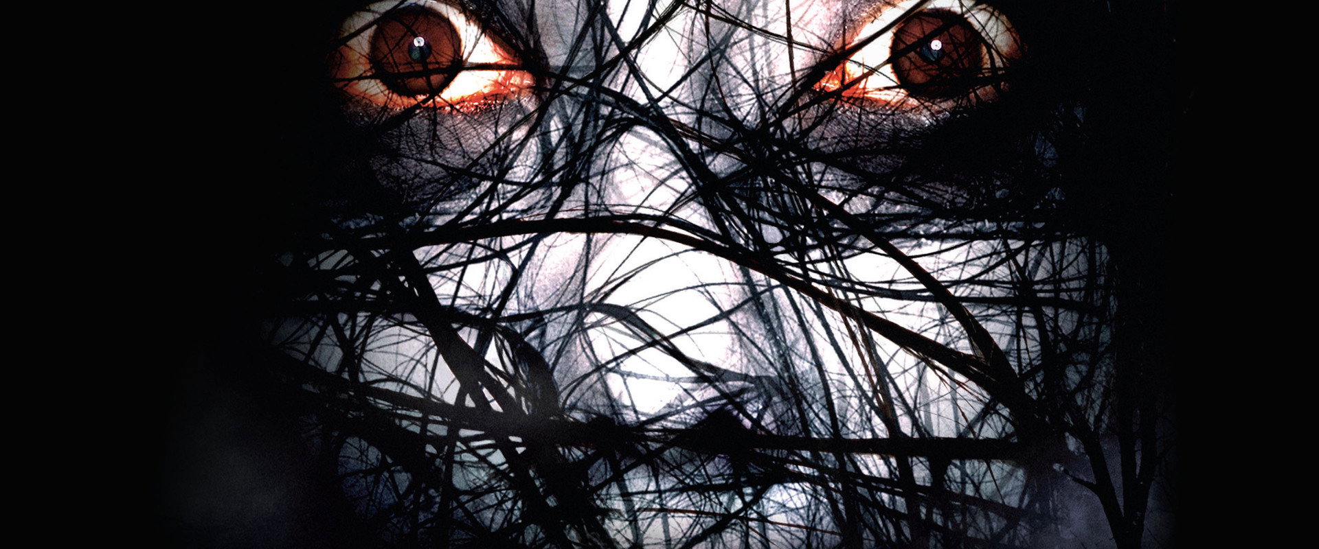 The Grudge 2 backdrop