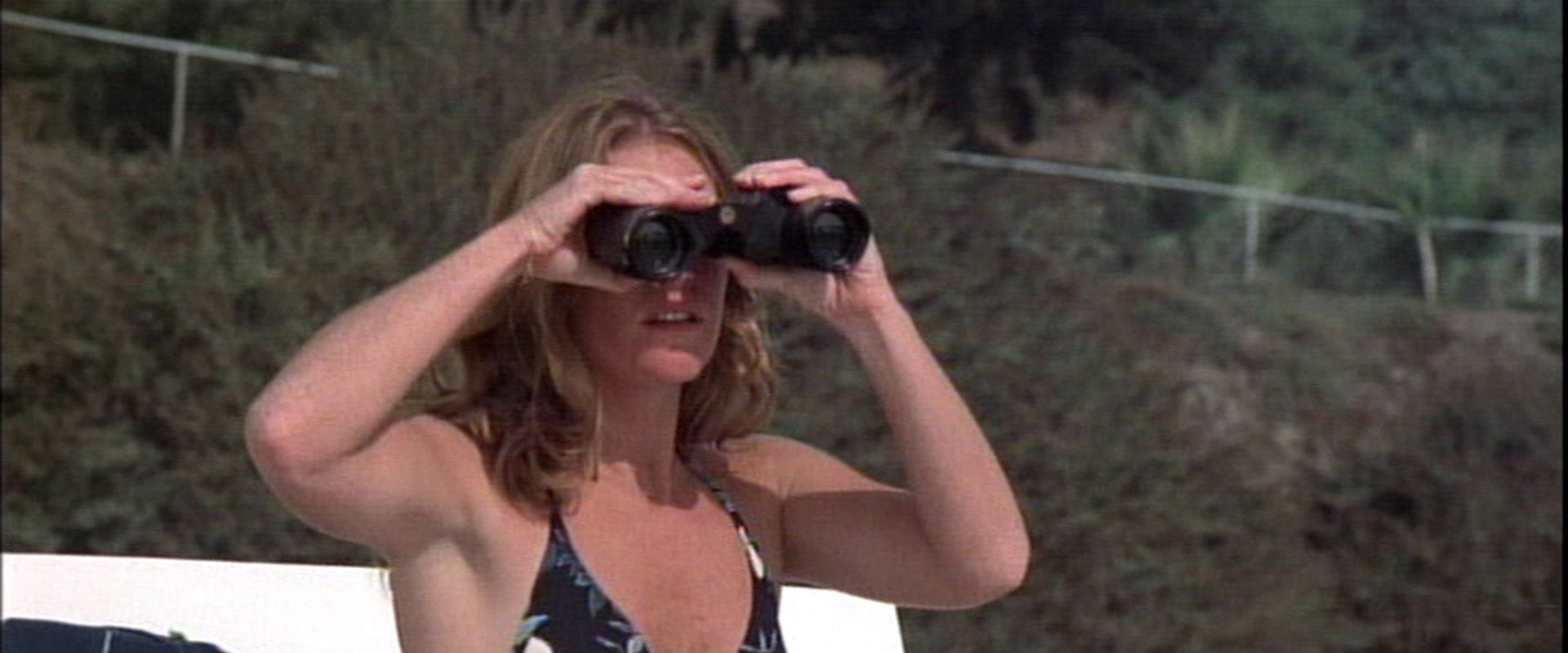 Malibu Beach backdrop