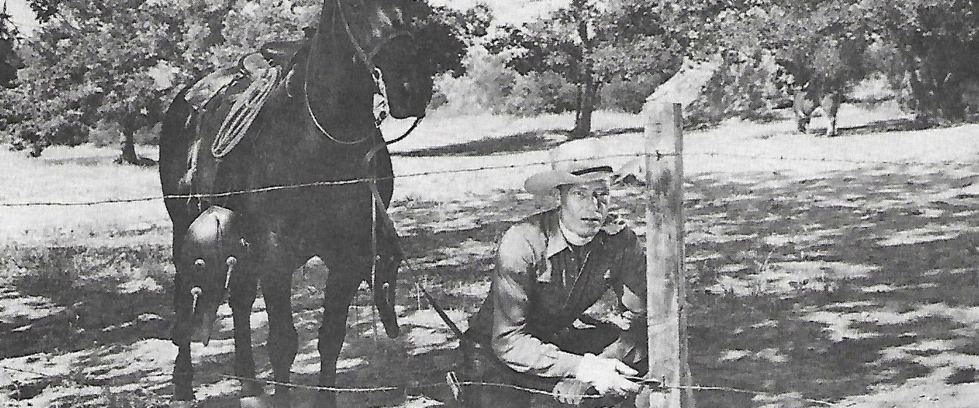 The Fighting Redhead backdrop