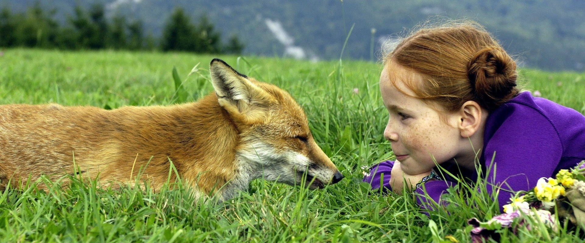 The Fox and the Child backdrop