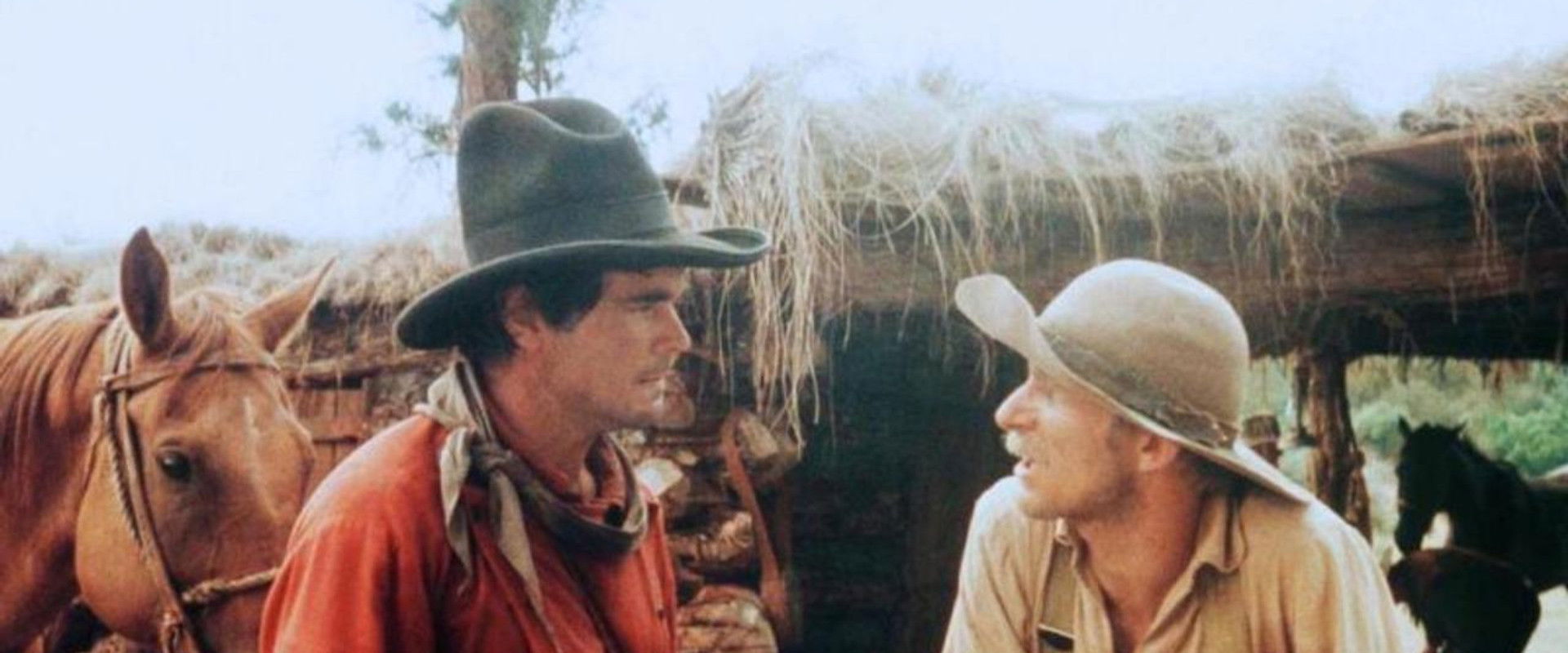 Pony Express Rider backdrop