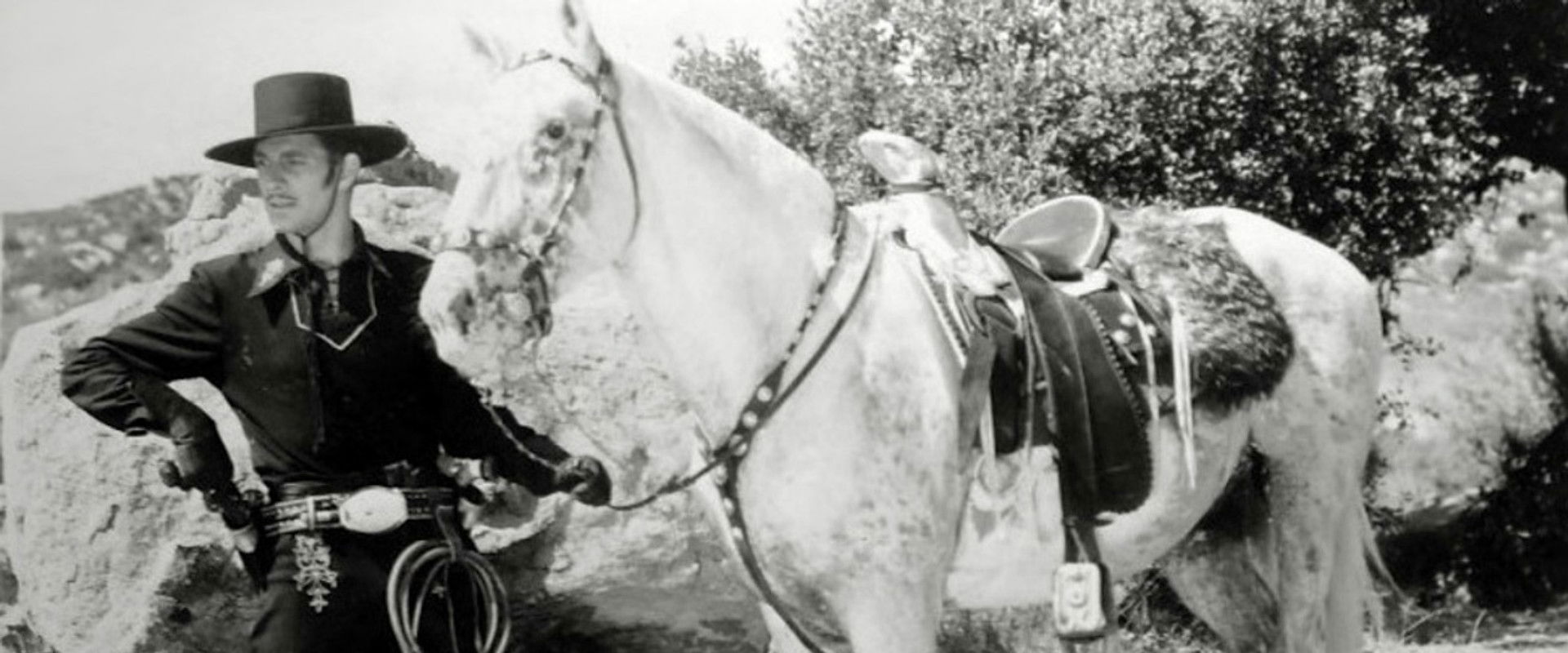 Zorro's Fighting Legion backdrop