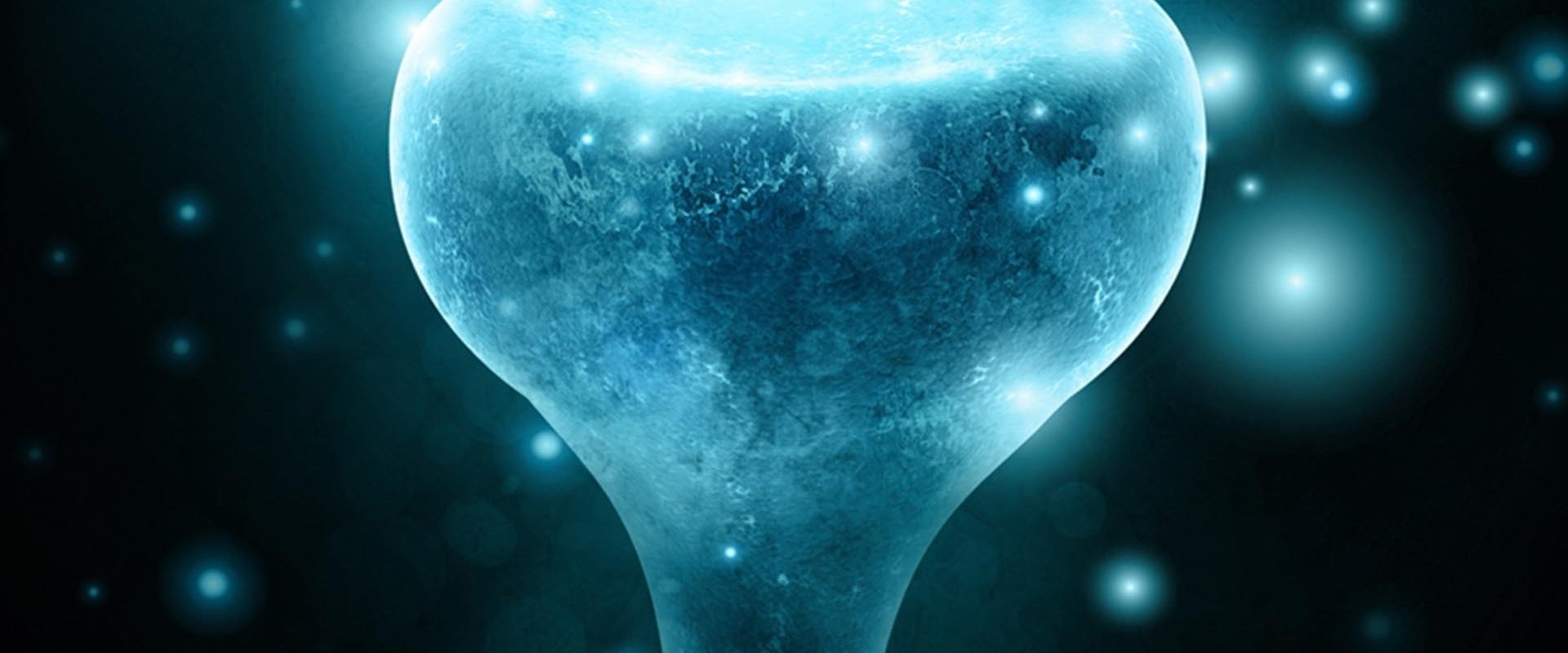Neurons to Nirvana backdrop