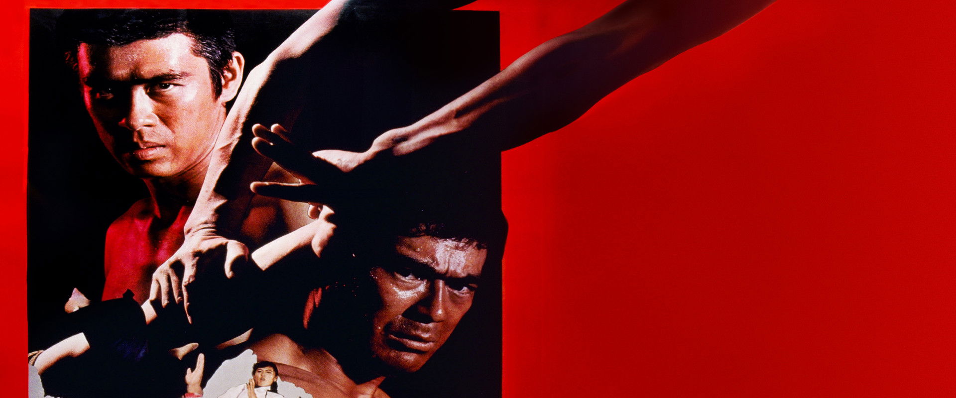 The Decisive Power of Aikido backdrop