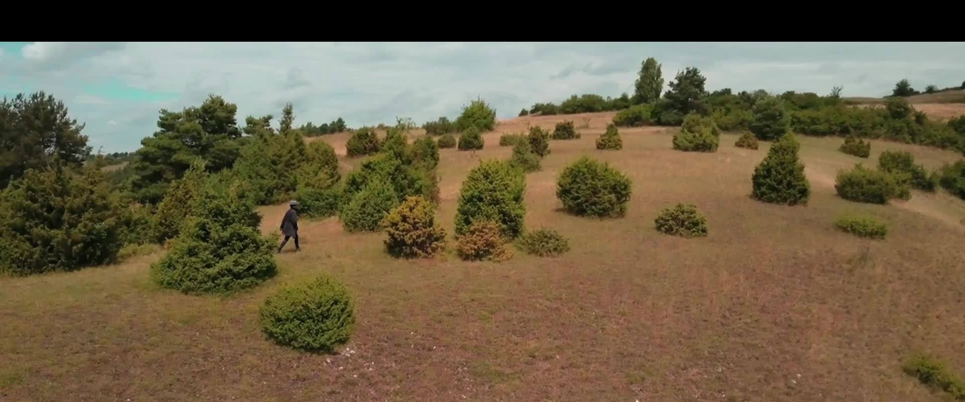 Wiebkes Weg