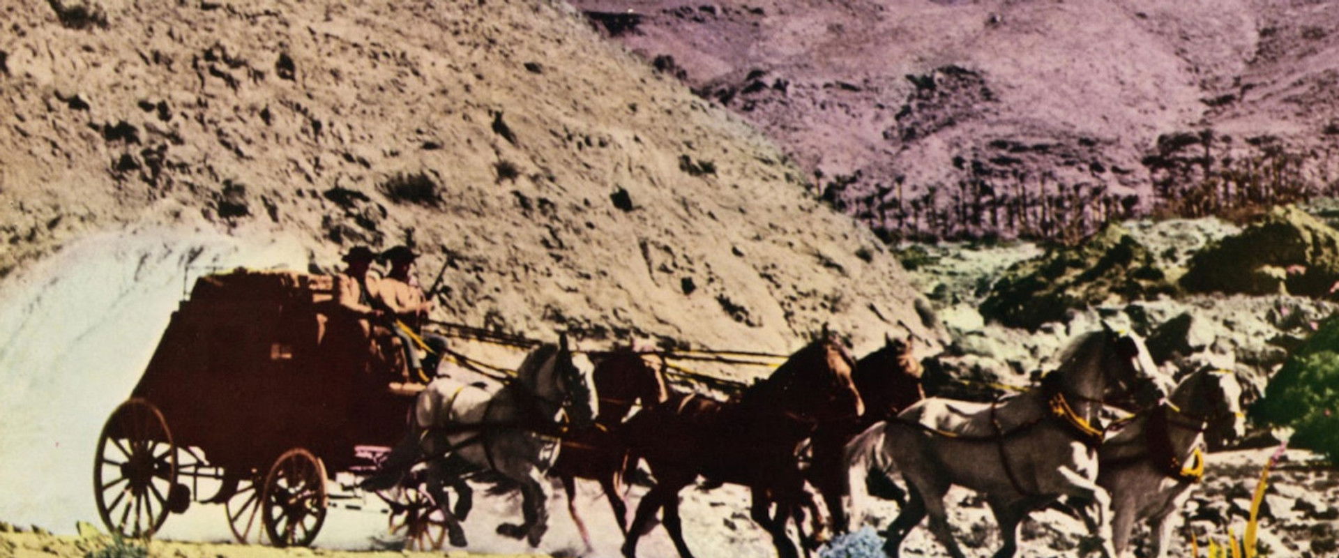 I Do Not Forgive... I Kill! backdrop