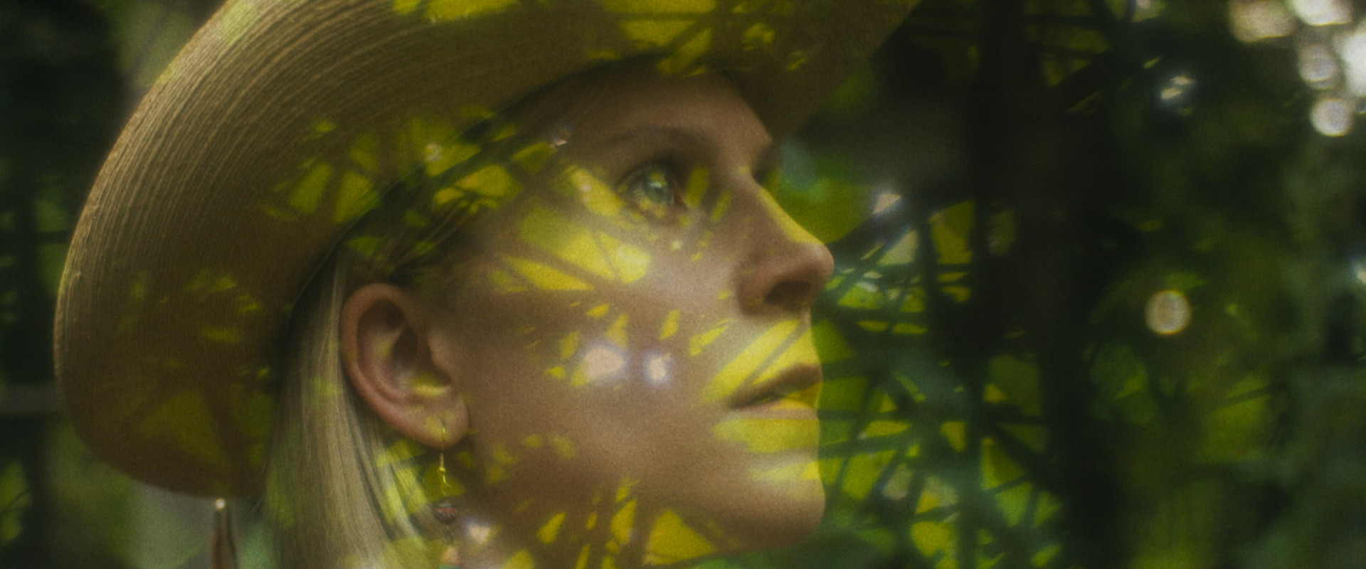 Desert Window backdrop